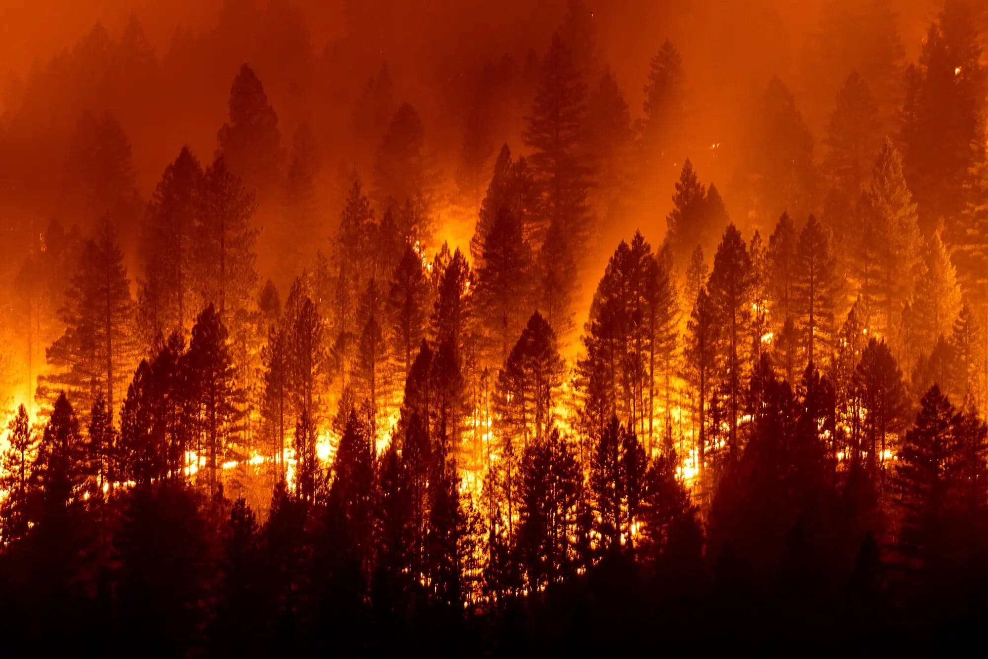 California wildfire aftermath